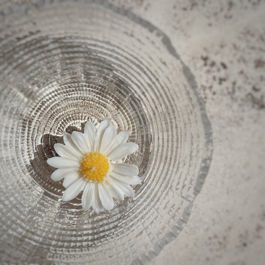 Vela de Margarita Flotante