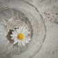 Daisy Floating Candle